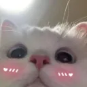 Parças