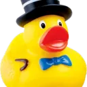 Useless Duck Company