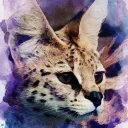 動物談議