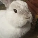 World Domination