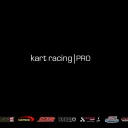 Kart Racing Pro