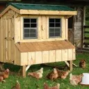 The Chik'N Coop