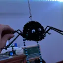 Pablo’s Web