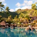 𝙏𝙝𝙚 𝙃𝙪𝙗's icon