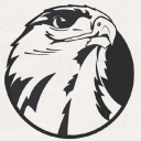 [LFN] Les Faucons Noirs Server Icon