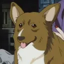 Backstreet Borks