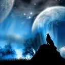 La Tanière Des Loup