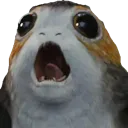 Porgs Inc. - Los Angeles Branch