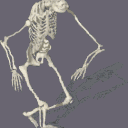 United SPOOKY SPOOKTOBER Rulo