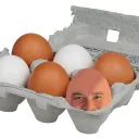 The Egg Carton