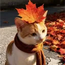 🍂 Подвальчик ☕