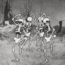 The Bone Zone