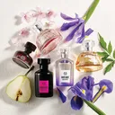 Fragrance Talk
