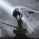 The Ravens