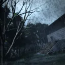 The Rainy Backyard