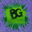 The Bush Gang Empire