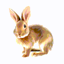 JOISPOI24's Bunnies