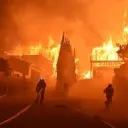 WildFIRE Avenue