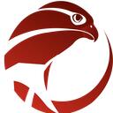 FalconPaladin Discord Server Icon