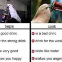 conk taste like water