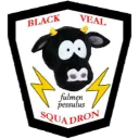 Black Veal Squadron