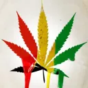 PUFFIN-ON-420