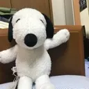 cチーム
