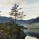 shnurion_srv