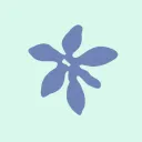 Developh ✿