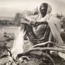 Normal Somalis