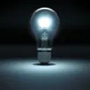 The Light