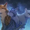 [RP] "La guerre des clans" Warrior cat FR Serious RP