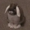 Peanut Space