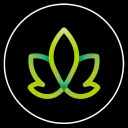 CBD CASH (by seigniorage protocol)
