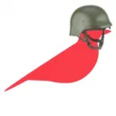 The ccKufi Warbirds