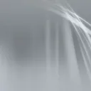 what the fuck do i do with this server
