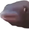 Marv