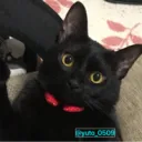 DBD よろしくお願いします