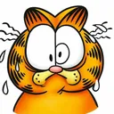 Funny Garfield
