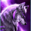 xWolfy