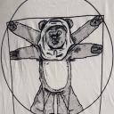 Force a Fide icon