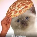 Dude, wheres my Pizza Station Science Center?