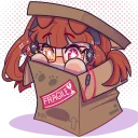 RL's Box