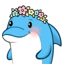 Dolphin Kingdom
