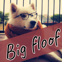 the BIG floof. Server Icon