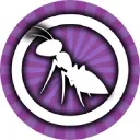 zachs ant farm