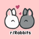 Discovery icon for Rabbitors Discord server