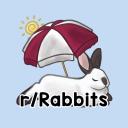 Discovery icon for Rabbitors Discord server