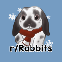 Discovery icon for Rabbitors Discord server
