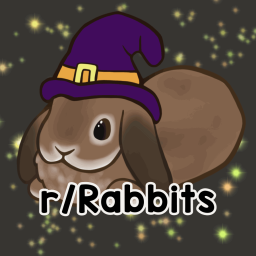 Discovery icon for Rabbitors Discord server